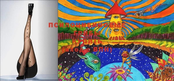 МДПВ Новодвинск