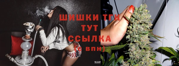 твердый Абинск