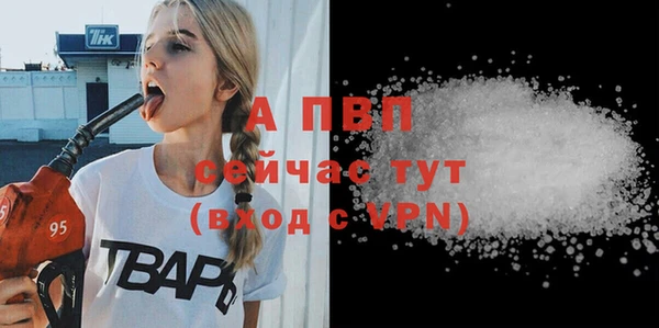 МДПВ Новодвинск