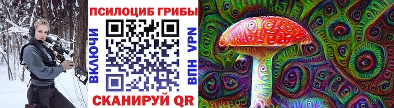 купить наркоту  MEGA онион  Галлюциногенные грибы Cubensis  Урень 
